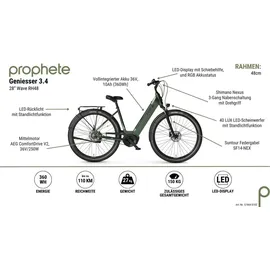 Prophete E-Bike Geniesser 3.4 3 Gang, Shimano, Mittelmotor City 28", Zoll Wave RH48 grün