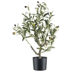 Dekobaum Olivenbaum I Grün/Naturfarben