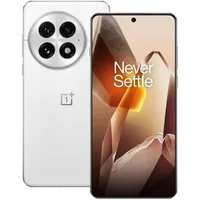 OnePlus 13 16 GB RAM 512 GB Arctic Dawn
