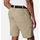 Columbia Silver Ridge Utility Cargo Kurze Hose Braun 28