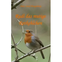 Rudi das mutige Rotkehlchen