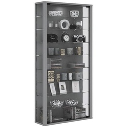 VCM Vitrine »Vitrosa Maxi« silber, 59x118x18 cm