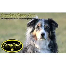 FangGold Power Croc 15 kg