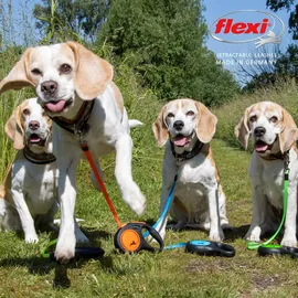 flexi New Neon neon-blau 5 M