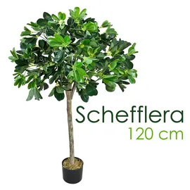 Decovego Schefflera Arboricola Kunstbaum Künstliche Pflanze Schefflera mit Echtholz 120cm