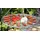 Cook King Schwenkgrill 200 cm inkl. Grillrost Ø 70 cm Rohstahl