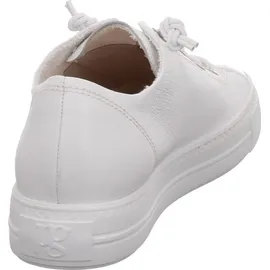 Paul Green 4081 white 37