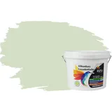 RyFo Colors Silikonharz Fassadenfarbe Lotuseffekt Trend Hellminze 3l - bunte Fassadenfarbe, weitere Grün Farbtöne und Größen erhältlich, Deckkraft Klasse 1