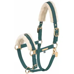 Eskadron Heritage 2425 Faux Leather Double Pin Ff Halfter