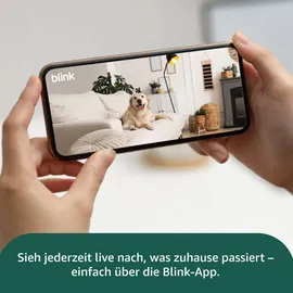 Blink Mini schwarz