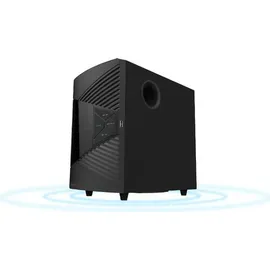 Creative Labs Creative SBS E2500 (51MF0485AA001)