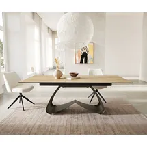 DeLife Edge 180 x 72 x 100 cm braun