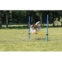 Trixie Agility Hürde 123 x 115 cm Blau