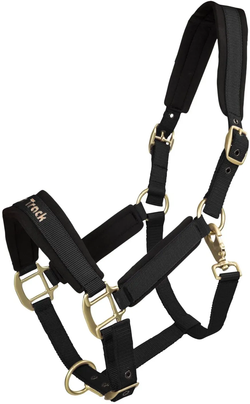 Back on Track Halfter Werano black PONY