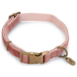 Designed By Lotte Hunde-Halsband Hundehalsband Velura pink Verstellmöglichkeit: 48 – 70 cm / Breite: 25 mm