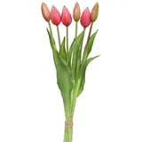 MARELIDA Tulpenbund mit 6 Blüten - H: 40cm rosa
