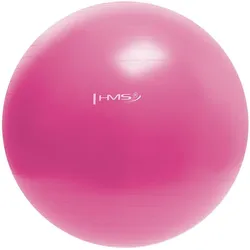 Gymnastikball yb01 HMS rosa 55 CM