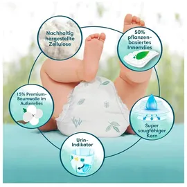 Pampers Harmonie Gr. 6 (13+ kg) 144 St.