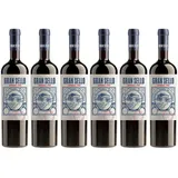 Bodegas Gran Sello Bodega Gran Sello Tempranillo-Syrah Rotwein trocken 0,75 l | 2020