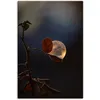 Leinwandbild »Seifenblasen auf Rosenblatt«, Blätterbilder, (1 St.), auf Keilrahmen gespannt, schwarz