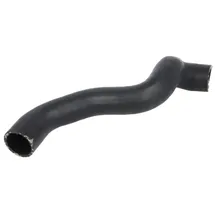 Thermotec DWM043TT