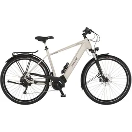 Fischer Viator 7.0i 28 Zoll RH 55 cm zementgreige matt