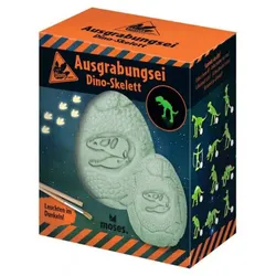Moses Ausgrabungsei Dino-Skelett