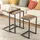 SoBuy Satztisch FBT102 beige 3er Set