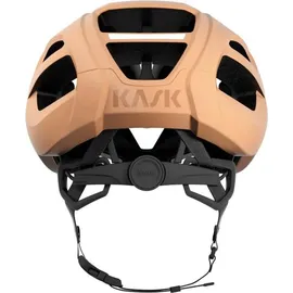 KASK Protone Icon Wg11 59-62 cm beige 2021