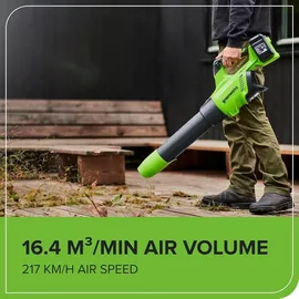 Greenworks Akku-Laubbläser 48V (2x24V) inkl. 2 x 2,0 Ah + Ladegerät