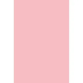 Baier & Schneider Filz 20 x 30 cm 1 mm hellrosa