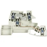 Wieland Electric 56.404.9755.0 Installationsklemme Grau 1 St.