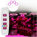 MUPOO Pflanzenlampe LED Pflanzenlampe, Timer Pflanzenlicht, 20-80 LEDs Pflanzenleuchte, USB, 4 Ringe, LED fest integriert rosa