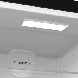 Gorenje R619DABK6 Kühlschrank (398 l, 1850 mm hoch, Schwarz)