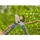 Gardena Astschere TeleCut Pro S / 52 cm 12040-88