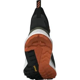 adidas Terrex Free Hiker 2.0 GTX Carbon/Grey Six/Core Black 46