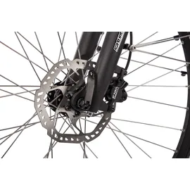 Saxonette Deluxe Sport 2022 28 Zoll RH 54 cm Herren silber