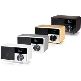 Kathrein DAB+ 1 mini silber