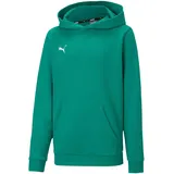 Puma teamGOAL 23 Casuals Kinder Hoody mit Kängurutasche Kapuzen-Pullover für Jugendliche Jungen & Mädchen 656711 05 Grün - 176