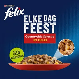 FELIX Jeden Tag Party Countryside 44 x 85 g