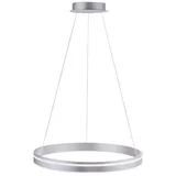 Paul Neuhaus Q SMART HOME LIGHTS LED-Pendelleuchte Q-Vito Alu, Eisen, Stahl & Metall Silber 59 cm
