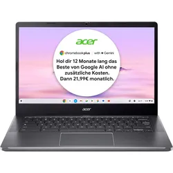 ACER Chromebook "CB514-4H-364N", grau (steel grau), 8 GB RAM 256 GB SSD, Core i3, Google ChromeOS, Notebooks