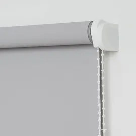 LIEDECO Seitenzugrollo Uni 62 x 180 cm hellgrau