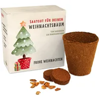 Weihnachtsbaum Anzuchtset als Adventskalender Füllung - Mini Geschenk als Idee für den Adventskalender für Frauen und Männer - Nordmann-Tanne zum selber Pflanzen