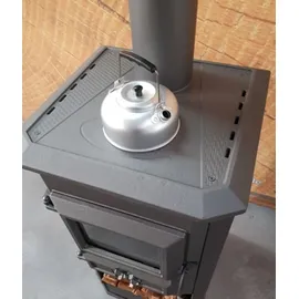 ECOfoxx EEK A+ Kaminofen Pella G mit Herdplatte gussgrau 5,4 kW