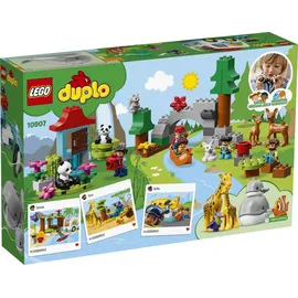 LEGO Duplo Tiere der Welt 10907