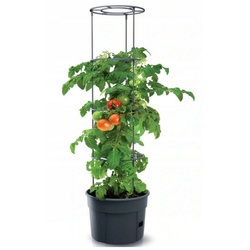 Prosperplast Pflanzkübel IPOM300-S433, Topf für Tomatenpflanze 12L Tomatenzüchter