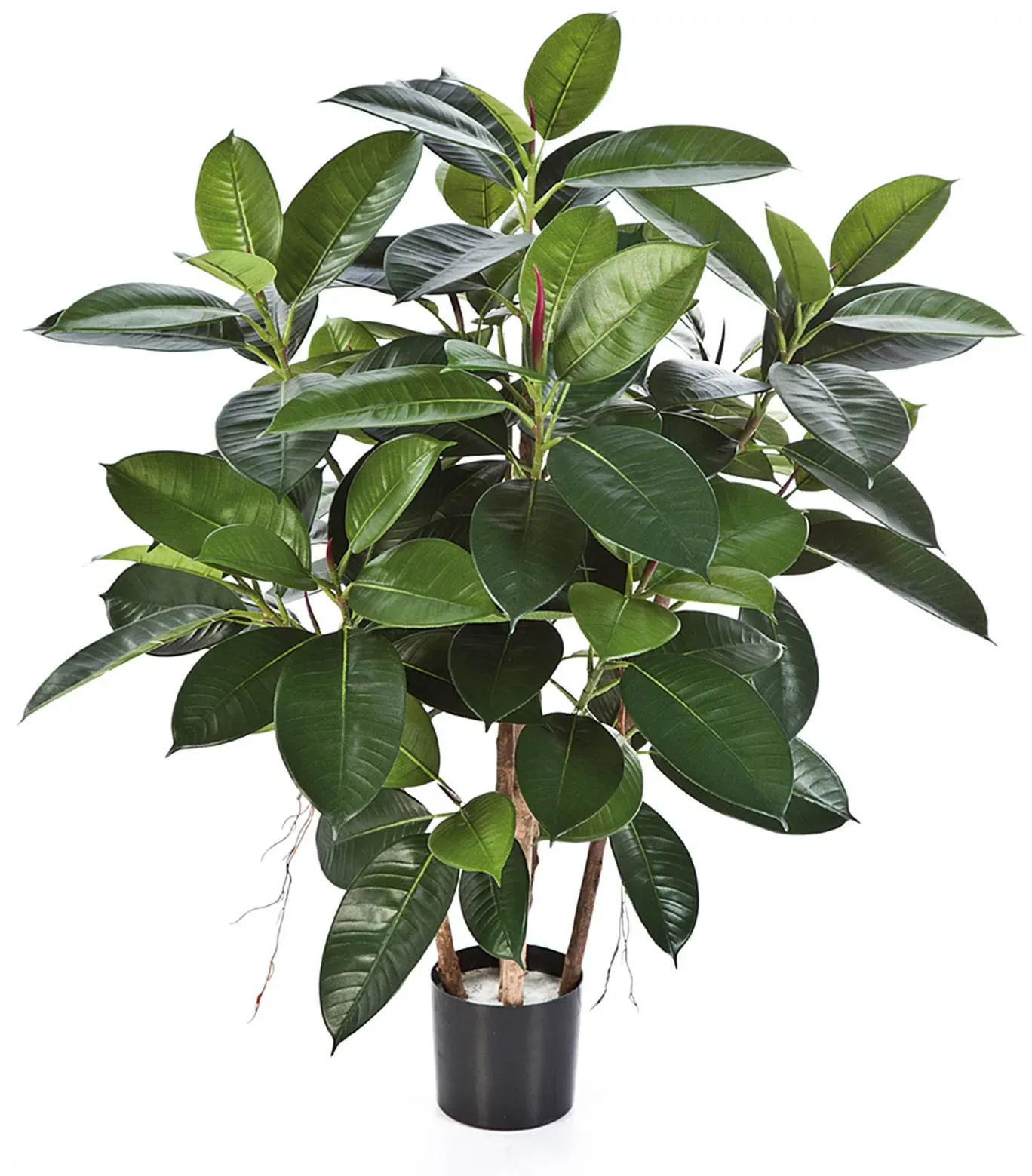 Ficus Elastica Kunstpflanze 90 cm