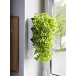 AQUAEL Versa Garden Herbs grüne Wand Pflanzen-Wandmodul