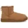 Chestnut 42